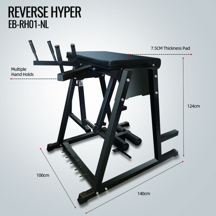 Reverse Hyperextension Bench