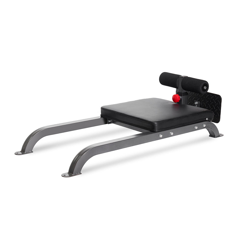 Floor Glute Hamraise