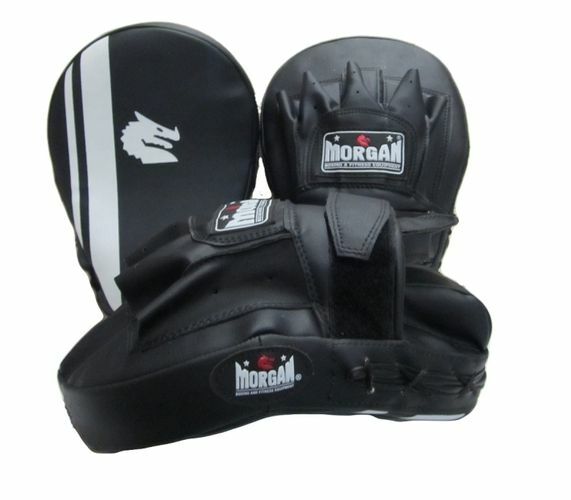 Morgan V2 Professional Focus Pads Pair