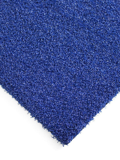 Gym Astroturf