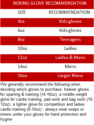 Morgan V2 Endurance Pro Boxing Gloves