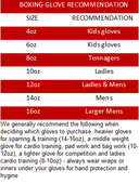 Morgan V2 Endurance Pro Boxing Gloves