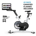 Freebeat Boom Bike
