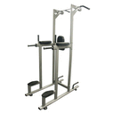 Chin Dip / Knee Raise Tower Commercial