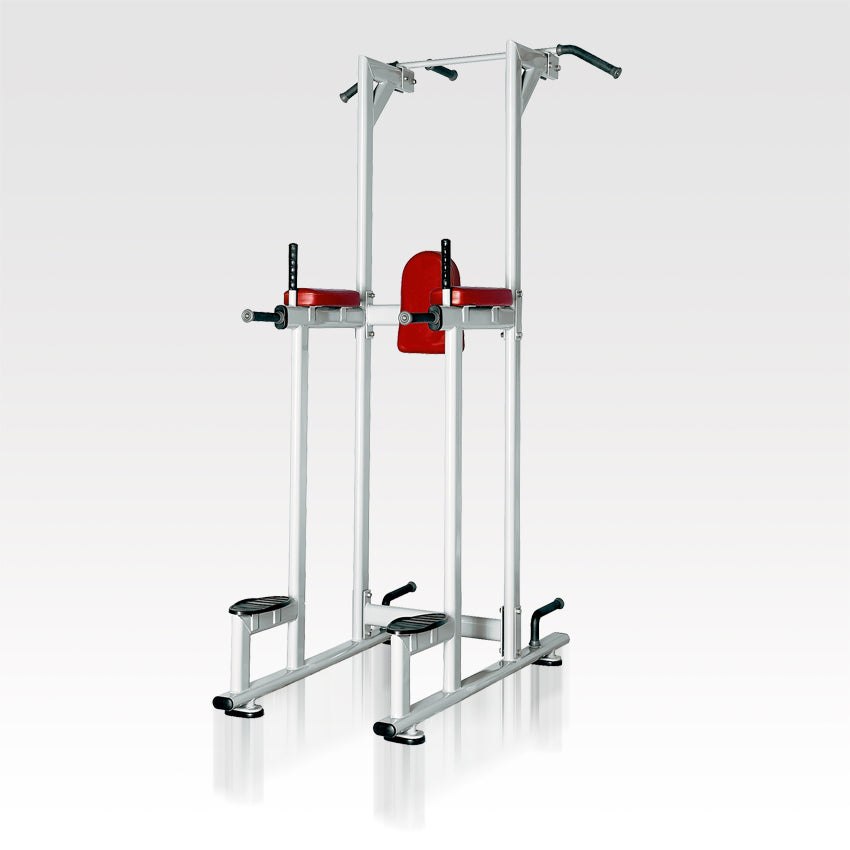Chin Dip / Knee Raise Tower Commercial