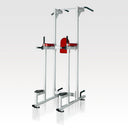 Chin Dip / Knee Raise Tower Commercial