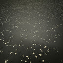 15mm EPDM Premium Gym Flooring 1m x 1m White Fleck Mat