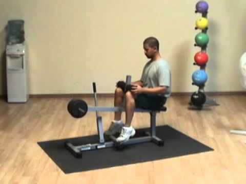 Powerline Seated Calf Raise Machine