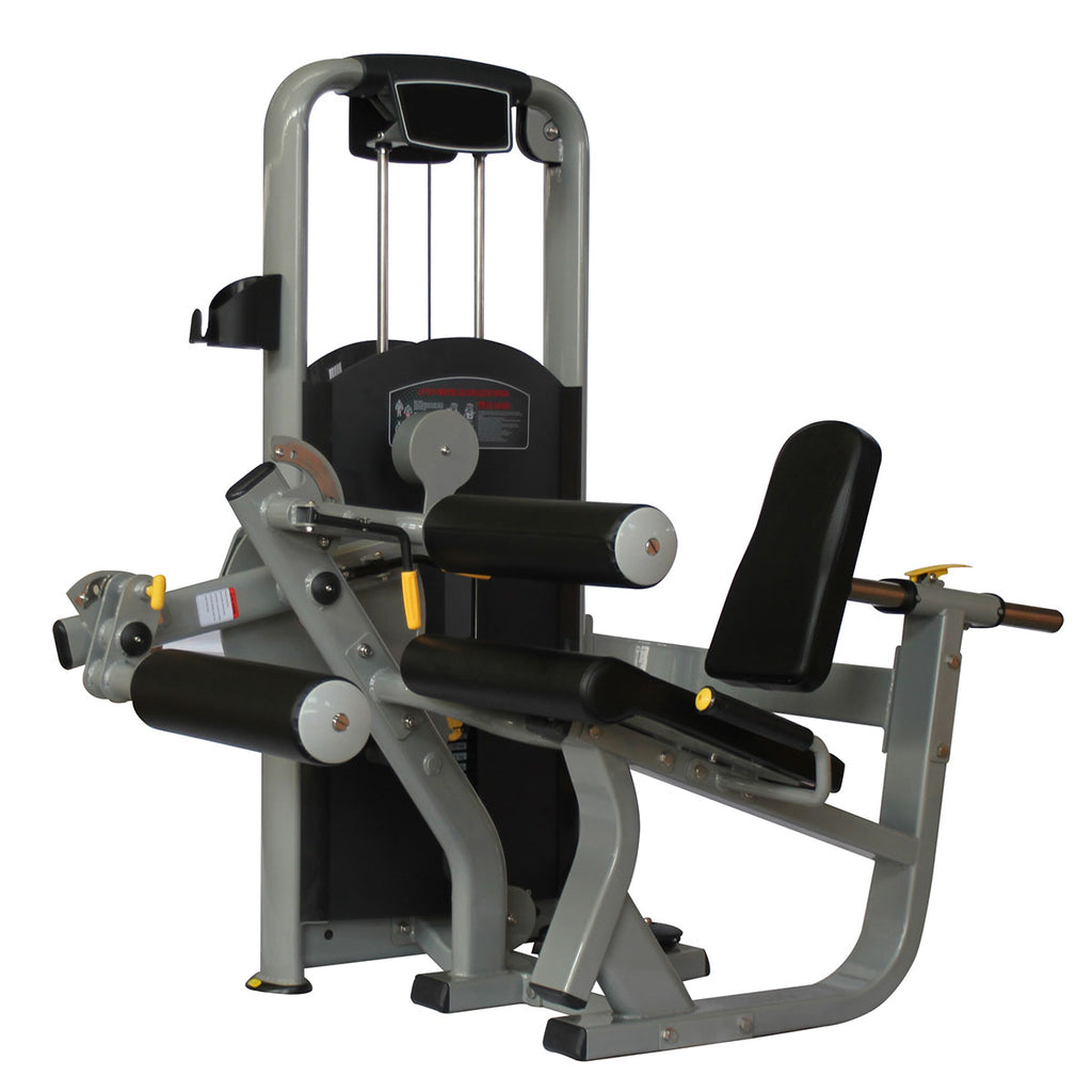 Leg Extension + Leg Curl Machine