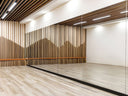 Gym Mirrors Shatterproof