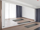 Gym Mirrors Shatterproof