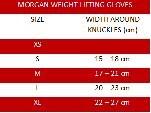 Morgan V2 Platinum Weightlifting Gloves